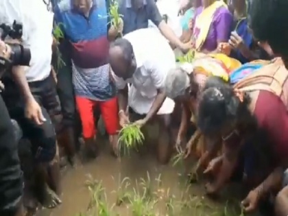 karnataka CM HD Kumaraswamy took part in the transplantation of paddy, video viral | जब खेत में धान रोपने पहुंचे यहां के मुख्यमंत्री, किसान भी देख हुए हैरान, वीडियो वायरल 