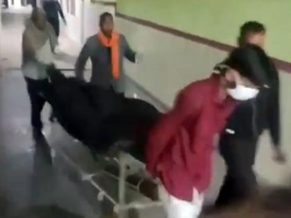 Jhunjhunu 25-year-old deaf mute Rohitash declared dead doctors he started breathing again just before last rites 3 doctors suspended Rajasthan | Jhunjhunu: मूक-बधिर 25 वर्षीय रोहिताश को चिकित्सकों ने घोषित किया मृत?, अंतिम संस्कार से ठीक पहले फिर से चलने लगीं सांसें Jhunjhunu 25-year-old deaf mute Rohitash declared dead doctors he started breathing again just before last rites 3 doctors suspended Rajasthan | Jhunjhunu: मूक-बधिर 25 वर्षीय रोहिताश को चिकित्सकों ने घोषित किया मृत?, अंतिम संस्कार से ठीक पहले फिर से चलने लगीं सांसें