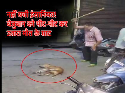 UP Viral Video Dairy Owner Beats Stray Dog To Death For Barking At Cow In Moradabad death FIR Filed | UP Viral Video: बेजुबान जानवर के साथ ऐसी बर्बरता; गाय पर भौंकने पर डेयरी मालिक ने कुत्ते पर बरसाए डंडे, मौत