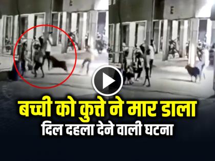 Dog Attack 4 Month Old Girl in Ahmedabad Police Arrested Rottweiler Owner | VIDEO: 4 महीने की बच्ची को कुत्ते ने मार डाला, CCTV में कैद हुई दिल दहला देने वाली घटना, देखें वीडियो