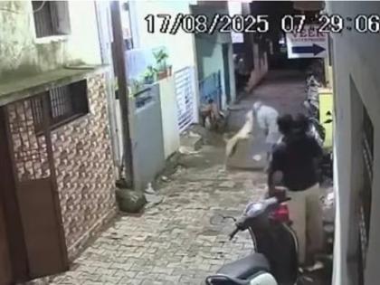 Stray Dog Attacks Elderly Man, Bites Him On Face In Chhatrapati Sambhajinagar | VIDEO: छत्रपति संभाजीनगर में आवारा कुत्ते ने बुजुर्ग व्यक्ति पर हमला किया, चेहरे पर काटा