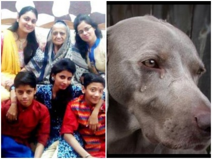 Delhi Burari case animal care organisation take the pets Dog | बुराड़ी केस: मालिकों की मौत पर रोता रहा टॉमी, जान बचाने के लिए घर से जबरन ले गए एनिमल केयर वाले