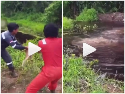 Dog handed over to crocodile for allegedly stealing food Indonesia men video | इंडोनेशिया: कथित खाना चुराने के आरोप में कुत्ते को किया गया मगरमच्छ के हवाले, कान पकड़कर हवा में उड़ाते हुए पानी में फेंकने का वीडियो हुआ वायरल