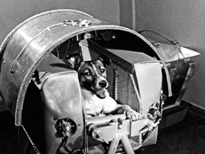History of November 3: For the first time today, when an Russia send a dog to into space | 3 नवंबर का इतिहास: पहली बार जब रूस ने अंतरिक्ष में एक कुत्ते को भेजा, पढ़ें आज का इतिहास