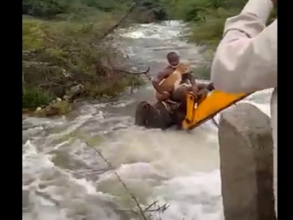 Telangana home guard save dog in overflowing stream watch viral video | पानी की तेज धार के बीच फंस गया था कुत्ता, होम गार्ड ने अपनी जान खतरे में डाल उसे बचाया, देखें वायरल वीडियो