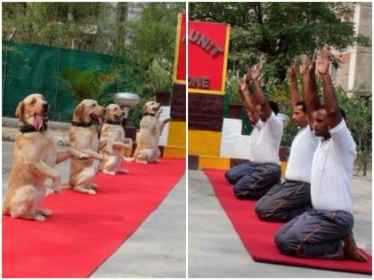 Rahul Gandhi’s ‘New India’ jibe on World Yoga Day. | राहुल गांधी ने आर्मी की डॉग यूनिट के योग करने पर किया ऐसा व्यंग्य, बीजेपी बोली- शर्म आनी चाहिए!