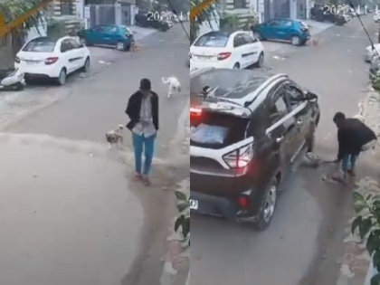 Ghaziabad Dog Video Viral Man was busy with mobile phone Dog dies after being hit by car | Ghaziabad: मोबाइल फोन में व्यस्त था शख्स, कार के नीचे आने से हुई डॉग की मौत, वीडियो वायरल