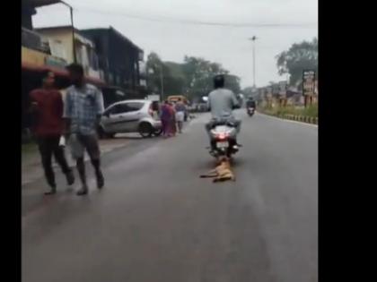 Karnataka Dog Tied to Scooter Dragged on Road in Udupi Case Registered Against Accused After Disturbing Video Surfaces | Watch: बेजुबान पर बर्बरता; कुत्ते को स्कूटर से बांध सड़क पर घसीटता रहा शख्स, नहीं पसीजा कलेजा... Karnataka Dog Tied to Scooter Dragged on Road in Udupi Case Registered Against Accused After Disturbing Video Surfaces | Watch: बेजुबान पर बर्बरता; कुत्ते को स्कूटर से बांध सड़क पर घसीटता रहा शख्स, नहीं पसीजा कलेजा...