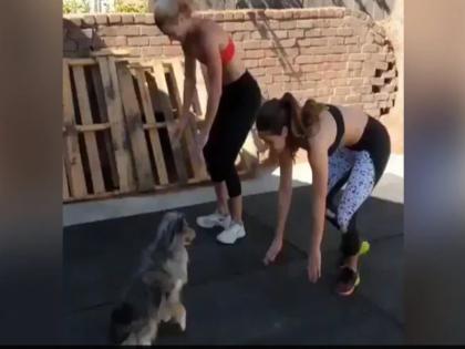 dog workout with two girls is so cute internet loves it see viral video | लड़कियों के साथ कुत्ते ने भी किया वर्कआउट, हर स्टेप की उतारी नकल, लोग बोले- अबतक का सबसे प्यारा वीडियो है ये