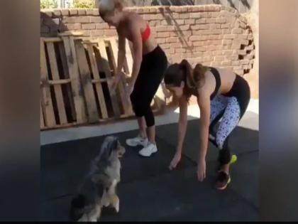 dog workout with two girls is so cute internet loves it see viral video | लड़कियों के साथ कुत्ते ने भी किया वर्कआउट, हर स्टेप की उतारी नकल, लोग बोले- अबतक का सबसे प्यारा वीडियो है ये dog workout with two girls is so cute internet loves it see viral video | लड़कियों के साथ कुत्ते ने भी किया वर्कआउट, हर स्टेप की उतारी नकल, लोग बोले- अबतक का सबसे प्यारा वीडियो है ये
