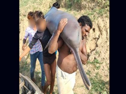 Uttar Pradesh: Four fishermen caught and eaten dolphins from Yamuna river, police arrested one, the rest absconding | उत्तर प्रदेश: यमुना नदी से डॉल्फिन पकड़कर खा गए चार मछुआरे, पुलिस ने एक को दबोचा, बाकी फरार