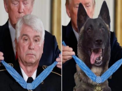 America Donald Trump posts altered photo of army dog getting medal | डोनाल्ड ट्रंप ने बगदादी पर हमले में घायल कुत्ते की फर्जी तस्वीर ट्वीट की America Donald Trump posts altered photo of army dog getting medal | डोनाल्ड ट्रंप ने बगदादी पर हमले में घायल कुत्ते की फर्जी तस्वीर ट्वीट की