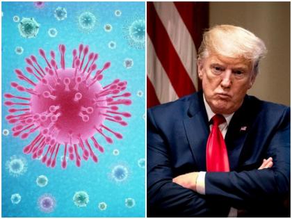 President Trump Declares National Emergency As Coronavirus Pandemic Grows | Coronavirus: राष्ट्रपति डोनाल्ड ट्रंप ने की राष्ट्रीय आपातकाल की घोषणा, अमेरिका में छाया कोरोना वायरस का खौफ
