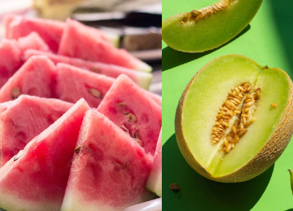 Summer Diet Tips foods that help you beat the heat Garmiyon me kya khayen | Summer Diet Tips: गर्मियों में खान-पान का रखें विशेष ध्यान, डाइट में शामिल करें ये आहार, सेहत रहेगी दुरुस्त