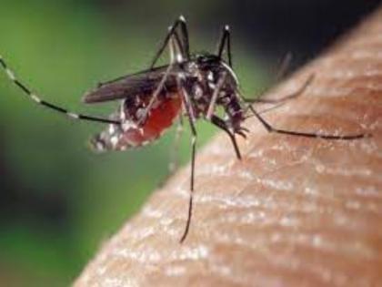 kerala reports 10 cases of zika virus amid of coronavirus pandemic it may more harmful | कोरोना वायरस के बाद अब जीका वायरस की दस्तक, केरल में 10 मामलों की हुई पुष्टि, जानें पूरा मामला