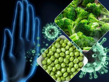 Coronavirus: रोज खाएं ये हरी सब्जियां, शरीर रहेगा फिट और हेल्दी, इम्यूनिटी होगी मजबूत