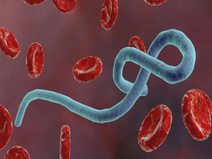 UNICEF said 5 people have died of Ebola in a fresh outbreak of the virus in the Congo during coronavirus pandemic, know ebola virus causes, symptoms and prevention tips in Hindi | कोरोना संकट के बीच यहां फैला इबोला वायरस का प्रकोप, 5 की मौत, जानें इबोला के कारण, लक्षण, बचने के उपाय