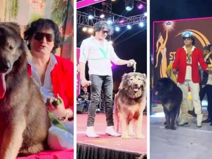 ED Raids at Sathish's House Who Bought Rs 500000000 Dog All Bark, No Bite ED Exposes Dog Sathish's Bogus Claims of Buying A Rs 50Cr Wolfdog | 500000000 का कुत्ता मंगाने का दावा, ईडी ने सतीश के घर धावा बोला, फर्जी दावे का पर्दाफ़ाश, देखें वीडियो ED Raids at Sathish's House Who Bought Rs 500000000 Dog All Bark, No Bite ED Exposes Dog Sathish's Bogus Claims of Buying A Rs 50Cr Wolfdog | 500000000 का कुत्ता मंगाने का दावा, ईडी ने सतीश के घर धावा बोला, फर्जी दावे का पर्दाफ़ाश, देखें वीडियो