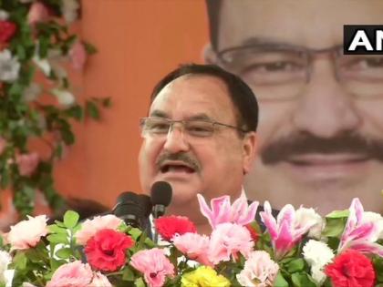 Nadda said - Article 370 was like canker for the country, which was abolished by the government in one stroke | नड्डा ने कहा- अनुच्छेद 370 देश के लिए नासूर की तरह था, जिसे एक ही झटके में सरकार ने खत्म कर दिया