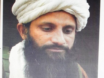 US-Afghanistan security forces killed Pakistani civilian and AQIS leader Asim Umar | अल कायदा प्रमुख आसिम उमर ढेर, अफगानिस्तान और यूएस ने मार गिराया, यह भारत में पैदा हुआ था