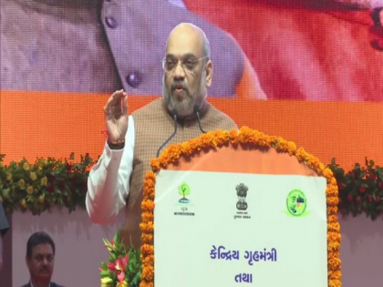 If every MP works with his mind in his constituency, then everything should be improved: Shah | यदि हर सांसद अपने संसदीय क्षेत्र में मन से काम करें तो हर चीज में सुधार हो जाएः शाह