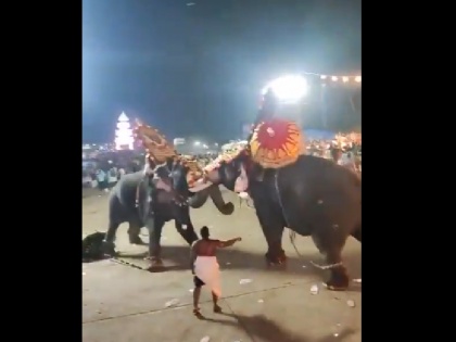 watch Two elephants fight with each other in Kerala following which a stampede broke out in Arattupuzha temple | केरल: दो हाथियों के बीच छिड़ा घमासान युद्ध, लोगों के बीच मची भगदड़; अराट्टुपुझा मंदिर का खौफनाक वीडियो वायरल