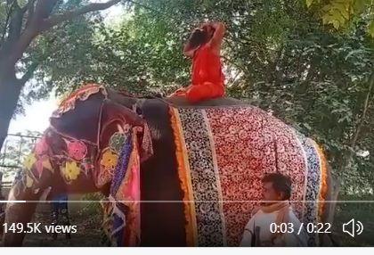 Baba Ramdev was doing yoga postures sitting on an elephant, after falling he got up and started dusting, watch the video | बाबा रामदेव हाथी पर बैठकर कर रहे थे योग आसन, गिरने के बाद उठकर झाड़ने लगे धूल, देखें वीडियो