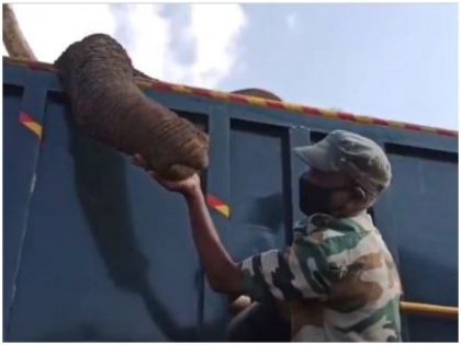 Tamil Nadu forester bids emotional goodbye to dead elephant Watch video | मृत हाथी को अंतिम विदा करते समय फूट-फूट कर रोने लगा वन रेंजर, देखें भावुक कर देने वाला वायरल वीडियो