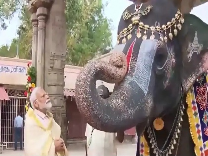 Watch: Elephant Plays Mouth Organ, Blesses PM Modi At Tamil Nadu Temple | Watch: तमिलनाडु के मंदिर में हाथी ने बजाया माउथ ऑर्गन, पीएम मोदी को दिया आशीर्वाद