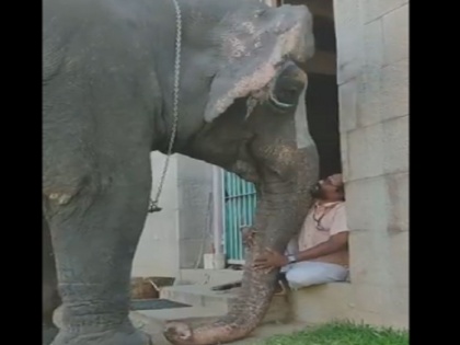 Elephant complaining about people taking her pics to mahout viral video | फोटो खींच रहे तो लोग तो महावत के पास जाकर शिकायत करने लगी हथिनी, देखें वायरल वीडियो