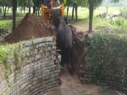 Video: Elephant fell into the well, was pulled out by using JCB, see how life was saved | Video: हाथी गिरा कुएं में, जेसीबी लगाकर निकाला गया बाहर, देखिए कैसे बची जान