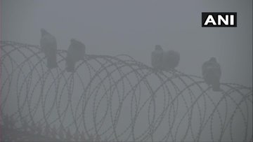 delhi weather update 50 trains delayed, 16 planes diverted, four flights canceled due to heavy fog and cold | घने कोहरे और ठंड की गिरफ्त में दिल्ली, 50 ट्रेनें देरी से चल रही हैं, 16 विमानों का मार्ग परिवर्तित, चार उड़ानें रद्द