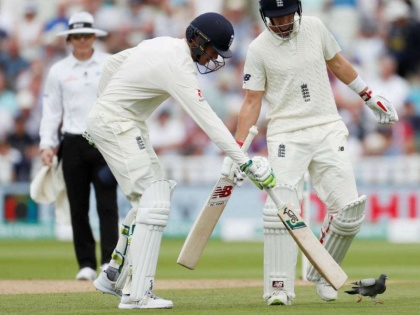 India vs England: Keaton Jennings was bowled on very next delivery after arrival of a Pigeon | Ind vs ENG: एक कबूतर बना चर्चा का विषय, जैसे ही मैदान में पहुंचा अगली गेंद पर गिरा इंग्लैंड का विकेट