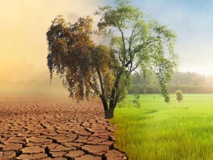 Earth will not be saved by mere talks and slogans | सिर्फ बातों और नारों से नहीं बचेगी धरती