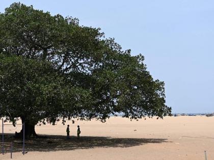 January 2025 hottest month ever European Climate Agency Warmest month January 2025 Highest temperature, more than 1-5 °C | January 2025 hottest month: सबसे अधिक गर्म माह जनवरी 2025?, सबसे अधिक तापमान, 1.5 डिग्री सेल्सियस से अधिक