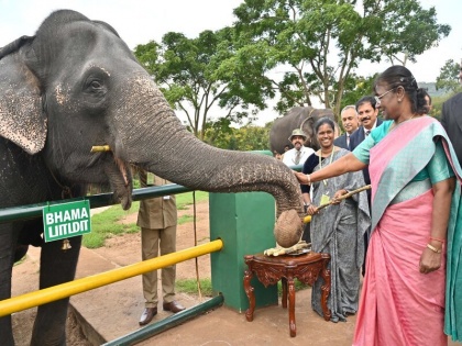 President Droupadi Murmu visited the Theppakadu Elephant Camp at Mudumalai Tiger Reserve | राष्ट्रपति द्रौपदी मुर्मू ने थेप्पाकाडु हाथी शिविर का दौरा किया, आदिवासी दंपति बोम्मन और बेली से मुलाकात की