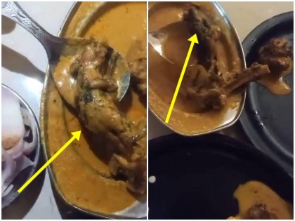family order malai mutton get dead rat in famous ludhiana restaurant video | Video: रेस्तरां में खाना खाने गए परिवार को फूड में मिला मरा हुआ चूहा, मलाई मटन आर्डर करने पर परोसा गया डेड रैट