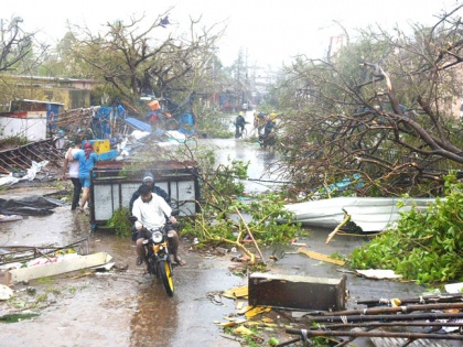 Cyclone Fani: Odisha's green cover affected, over 10 million trees uprooted | भुवनेश्वरः जिंदगी नहीं लाखों पेड़ों पर कहर बरपाया फोनी, अब 'ग्रीन गारबेज' नयी मुसीबत