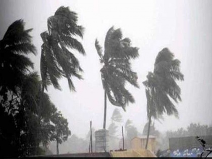Cyclone Fani: 10 thousand coconut trees fell in Andhra Pradesh, loss reaches to Rs 58.61 Cr | Cyclone Fani: आंध्र प्रदेश में 10 हजार नारियल के पेड़ गिरे, 58.61 करोड़ रुपये का नुकसान