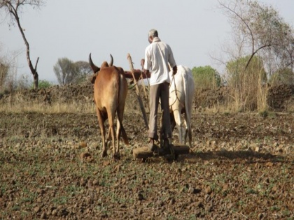 Rajasthan: 101 farmers including 30 women dissatisfied with compensation sit on Bhoomi Samadhi Satyagraha | राजस्थान: मुआवजे से असंतुष्ट 30 महिलाओं सहित 101 किसान भूमि समाधि सत्याग्रह पर बैठे