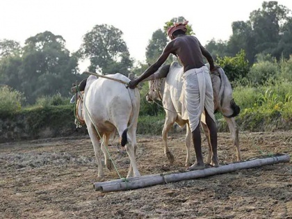 Alok Mehta blog: Farmers themselves can understand their profit and loss | आलोक मेहता का ब्लॉग: किसान खुद ही समझ सकते हैं अपने हानि-लाभ का गणित