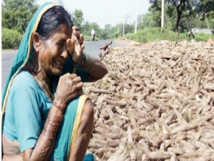 Crops wasted due to rain in Maharashtra farmer says what will the children eat, it seems good if I die | फफक-फफककर रोईं वृद्धा किसान, कहा- लगता है 'मर जाऊं तो अच्छा'