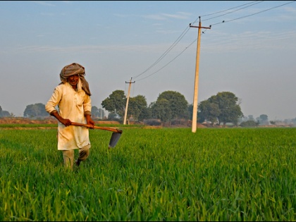 Madhya Pradesh: Opposition says, Government is treating farmers as prisoners in the name of survey | मध्य प्रदेश: नेता प्रतिपक्ष का आरोप, सर्वे के नाम पर किसानों से कैदियों की तरह सलूक कर रही सरकार