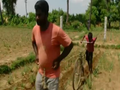 Tamil Nadu: Crop ruined in lockdown, sons cycle turned into plowing equipment | तमिलनाडुः लॉकडाउन में बर्बाद हुई फसल, बेटे की साइकिल को बना दिया खेत जोतने वाला उपकरण Tamil Nadu: Crop ruined in lockdown, sons cycle turned into plowing equipment | तमिलनाडुः लॉकडाउन में बर्बाद हुई फसल, बेटे की साइकिल को बना दिया खेत जोतने वाला उपकरण