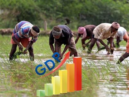 jayantilal bhandari blog scenario and challenges of gdp growth in agriculture | जयंतीलाल भंडारी का ब्लॉगः कृषि क्षेत्र में जीडीपी बढ़ने का परिदृश्य और चुनौतियां