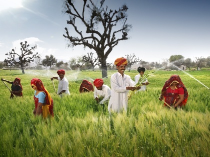 Rajasthan: Farmers will be able to take loans at a lower interest rate by pledging the produce | राजस्थान: उपज को गिरवी रखकर कम ब्याज दर पर कर्ज ले सकेंगे किसान