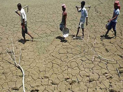 Maharashtra: 73 farmers committed suicide from January to July of 2023 in Chandrapur | महाराष्ट्र: चंद्रपुर में साल 2023 के जनवरी से जुलाई तक 73 किसानों ने की आत्महत्या