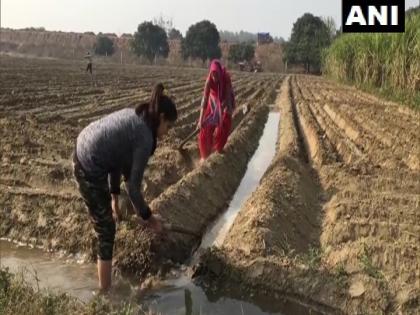 Farmers benefit, Rs 37,952 crore subsidy non-urea fertilizers phosphorus and sulfur, rates effective from October 1, 2025 to March 31, 2026 | गैर-यूरिया उर्वरकों फॉस्फोरस और सल्फर पर 37,952 करोड़ रुपये की सब्सिडी, दरें एक अक्टूबर, 2025 से 31 मार्च, 2026 तक प्रभावी