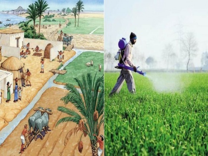 N. K. Singh's blog: Agriculture sector shows unprecedented potential | एन. के. सिंह का ब्लॉग: भारत में कृषि क्षेत्र ने दिखाई अभूतपूर्व क्षमता
