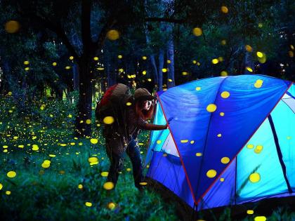 Do pay attention dark side glittering lights Festival of Fireflies in Purushwadi, Bhandardara, Rajmachi, Prabalmachi, Karjat of Maharashtra blog Pankaj Chaturvedi | दमकती रोशनी के स्याह पक्ष पर भी देना होगा ध्यान?, महाराष्ट्र के पुरुषवाड़ी, भंडारदरा, राजमाची, प्रबलमाची, कर्जत में जुगनुओं का उत्सव